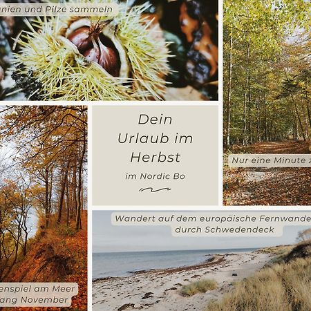 Nordic Bo -Wellen Wald Und Wilde Kueste- Strandnahe Doppelhaushaelfte Mit Waldterrasse Surendorf Exterior photo