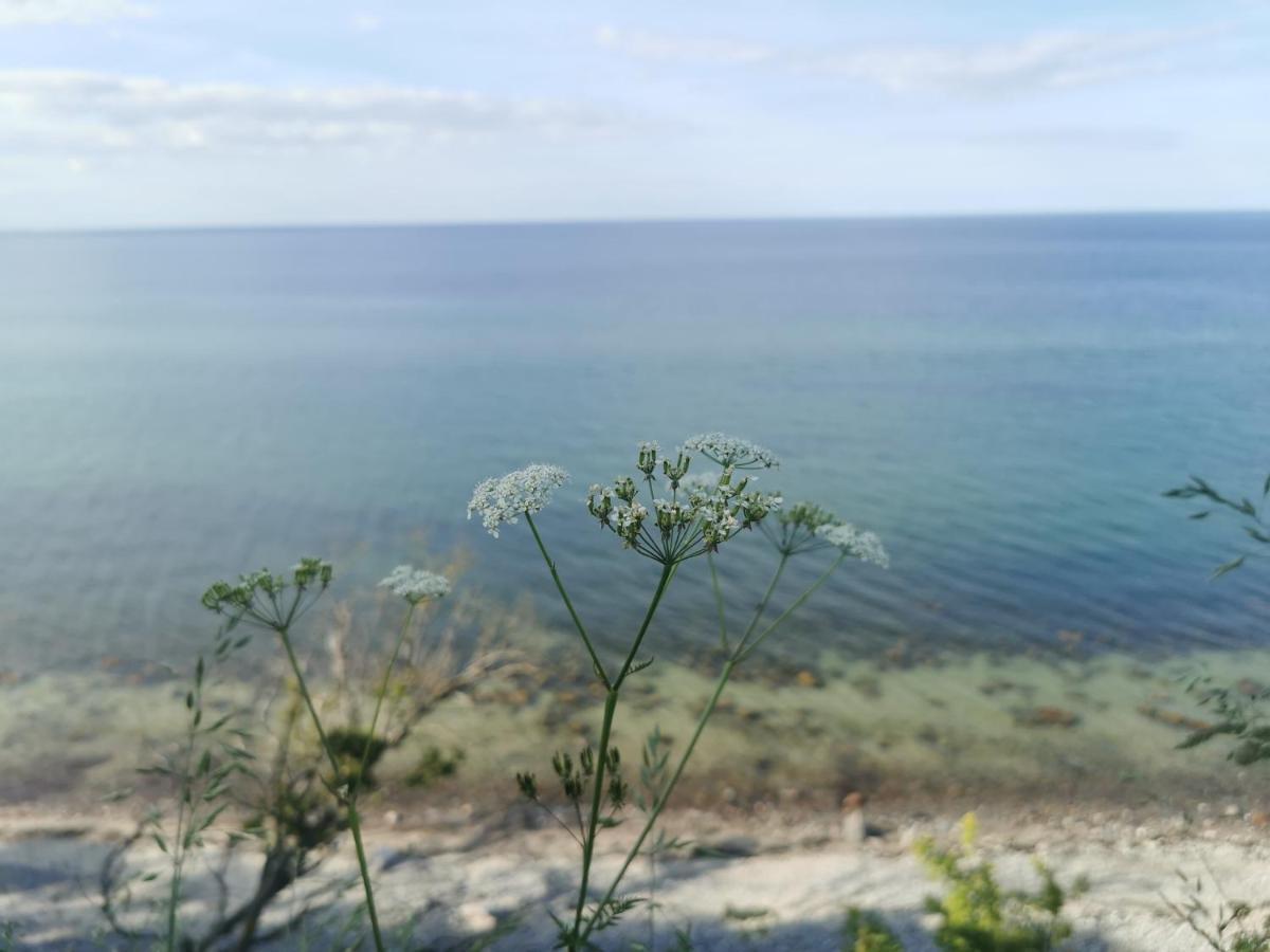 Nordic Bo -Wellen Wald Und Wilde Kueste- Strandnahe Doppelhaushaelfte Mit Waldterrasse Surendorf Exterior photo