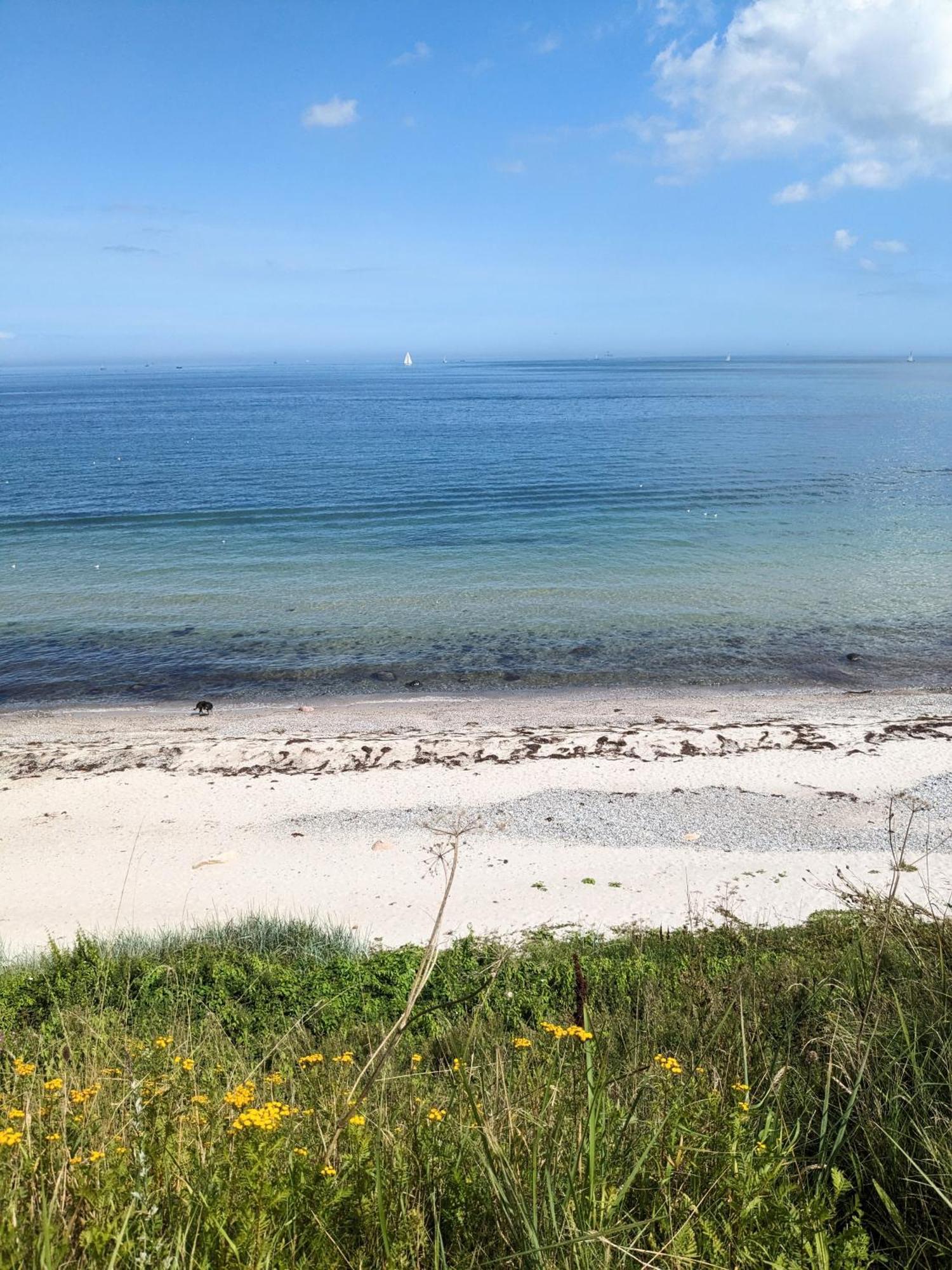 Nordic Bo -Wellen Wald Und Wilde Kueste- Strandnahe Doppelhaushaelfte Mit Waldterrasse Surendorf Exterior photo