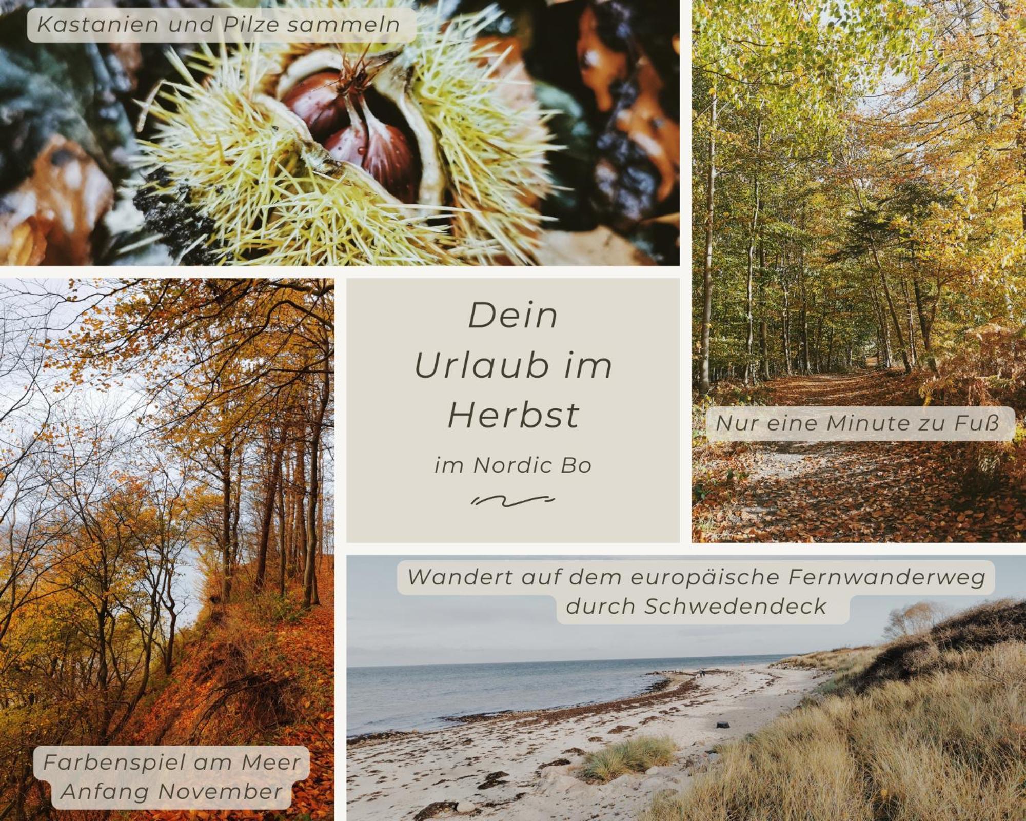 Nordic Bo -Wellen Wald Und Wilde Kueste- Strandnahe Doppelhaushaelfte Mit Waldterrasse Surendorf Exterior photo